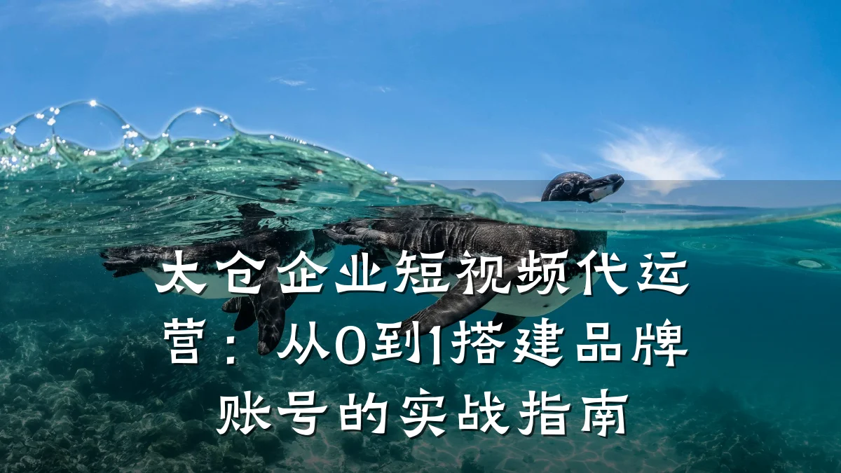 太仓企业短视频代运营：从0到1搭建品牌账号的实战指南