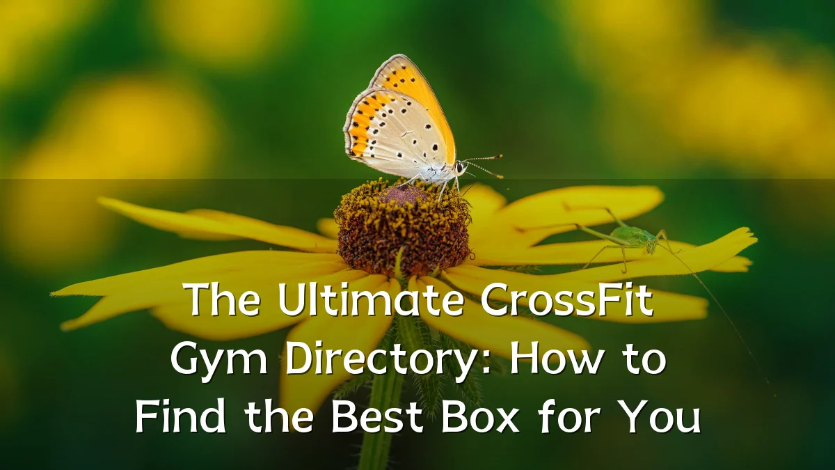 The Ultimate CrossFit Gym Directory: How to Find the Best Box for You