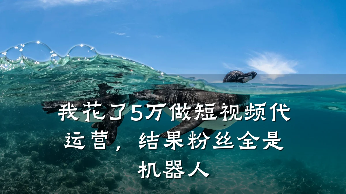 我花了5万做短视频代运营，结果粉丝全是机器人