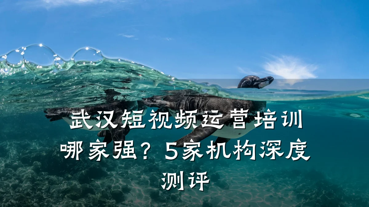 武汉短视频运营培训哪家强？5家机构深度测评