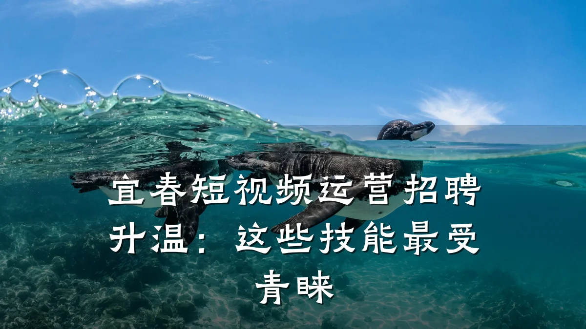 宜春短视频运营招聘升温：这些技能最受青睐