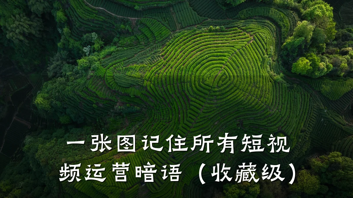 一张图记住所有短视频运营暗语（收藏级）