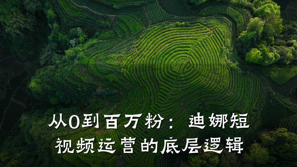 从0到百万粉：迪娜短视频运营的底层逻辑