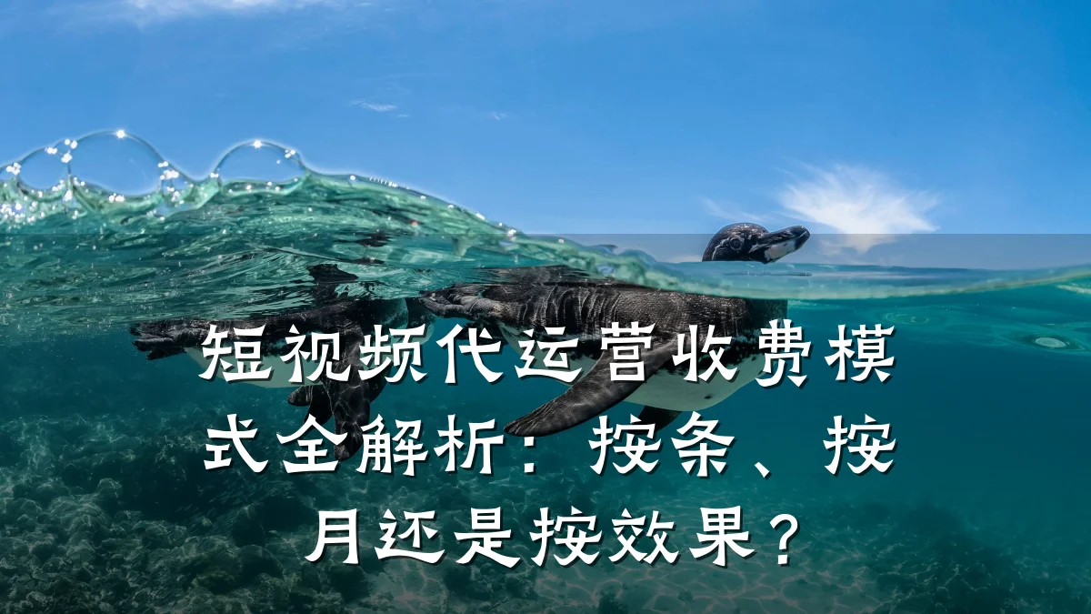 短视频代运营收费模式全解析：按条、按月还是按效果？