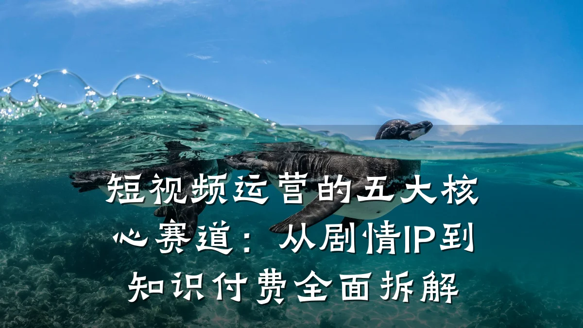 短视频运营的五大核心赛道：从剧情IP到知识付费全面拆解
