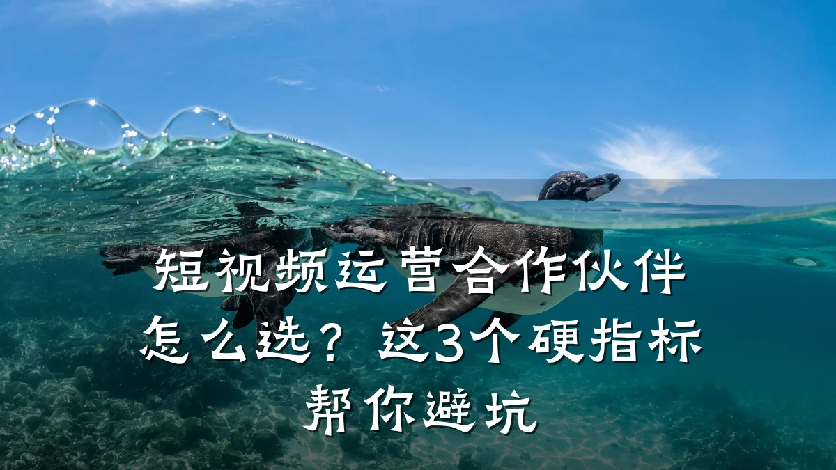 短视频运营合作伙伴怎么选？这3个硬指标帮你避坑