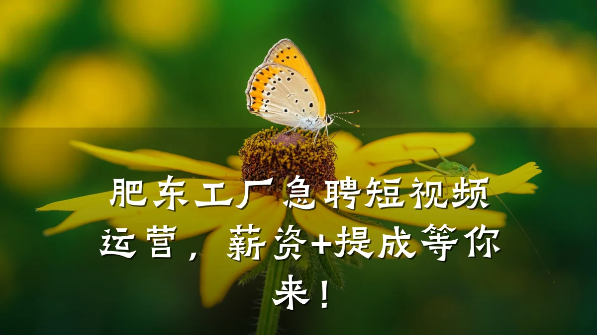肥东工厂急聘短视频运营，薪资+提成等你来！