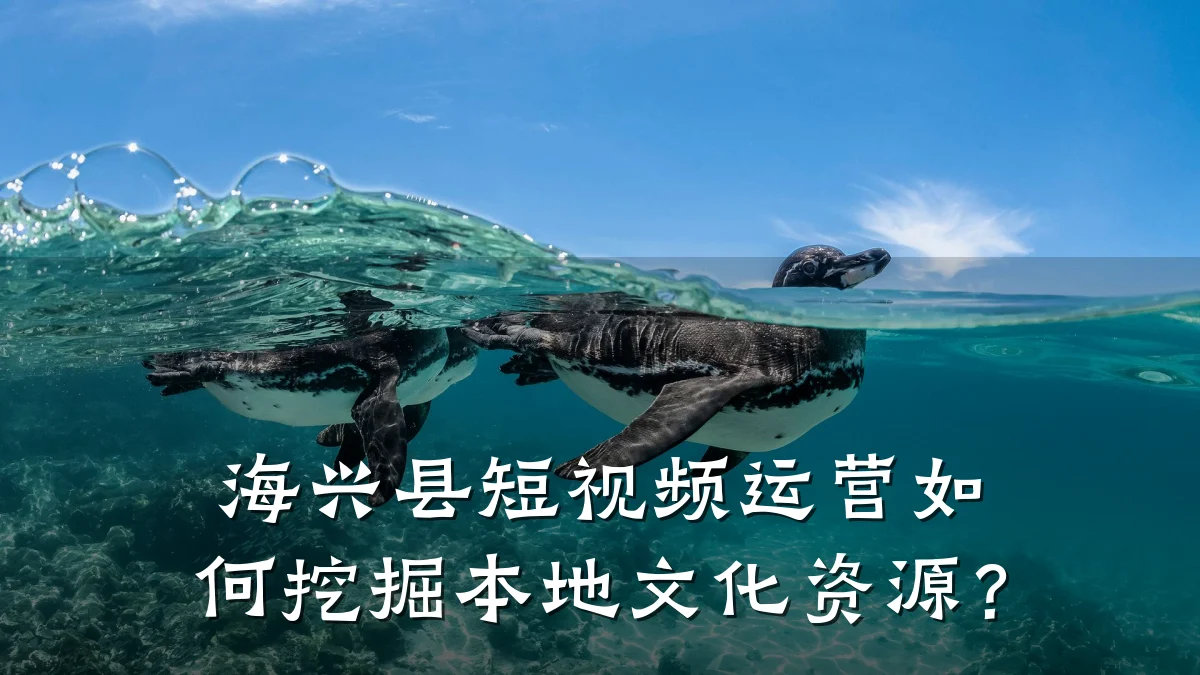 海兴县短视频运营如何挖掘本地文化资源？