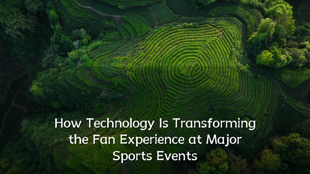How Technology Is Transforming the Fan Experience at Major Sports Events