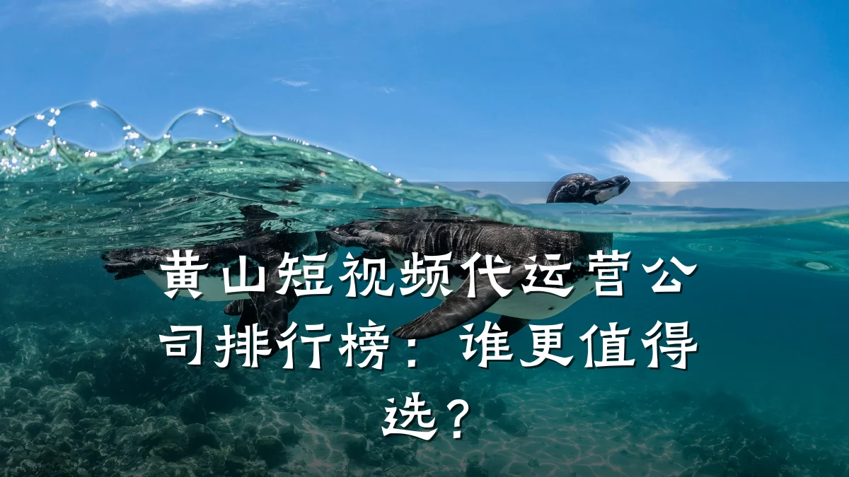 黄山短视频代运营公司排行榜：谁更值得选？