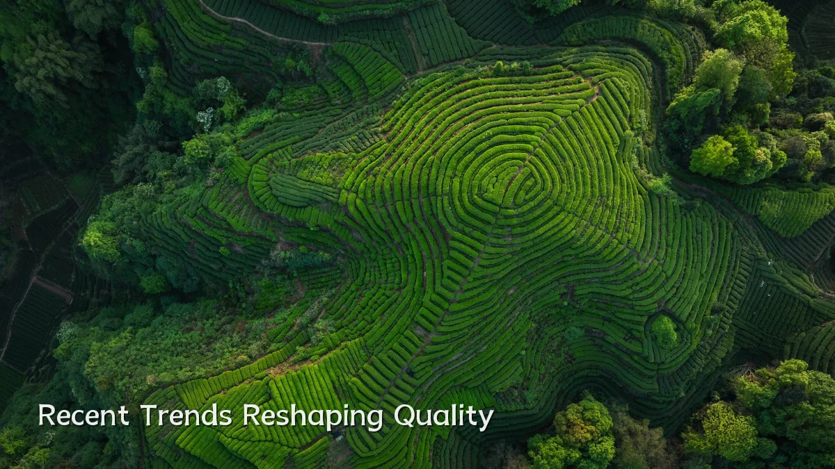 Recent Trends Reshaping Quality