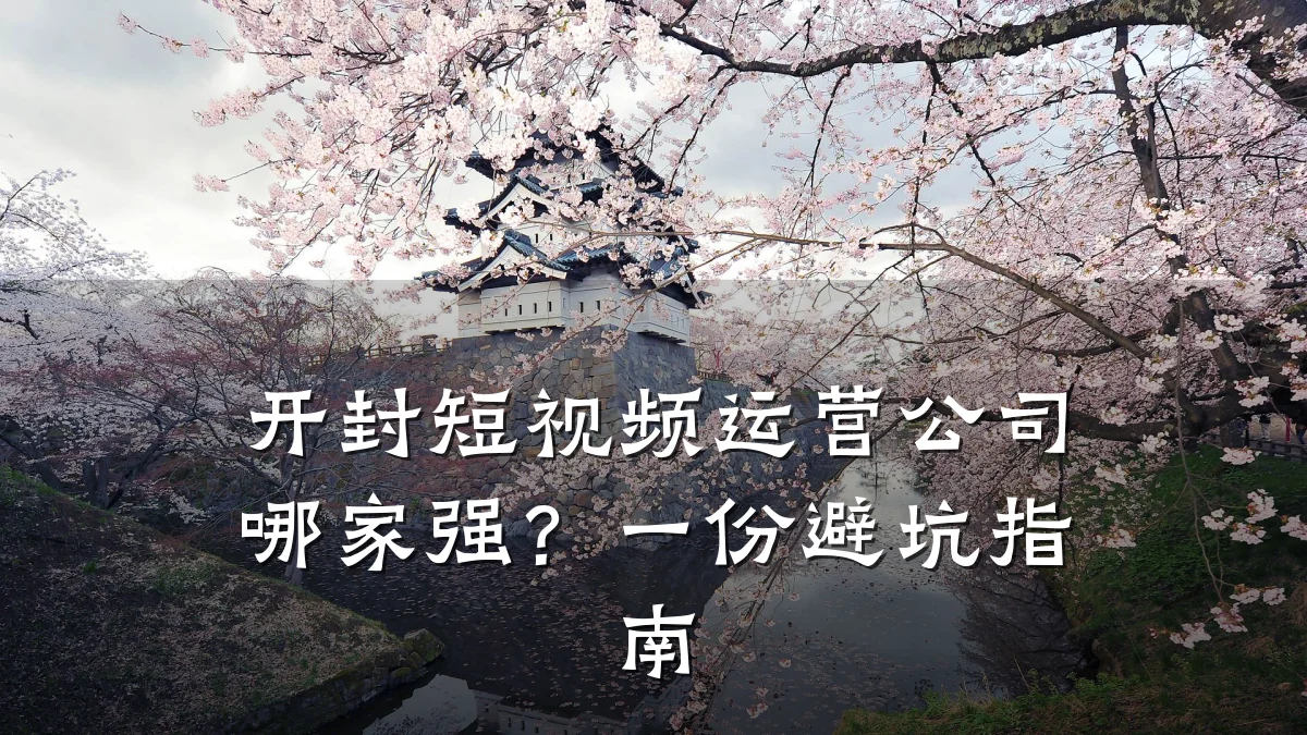 开封短视频运营公司哪家强？一份避坑指南