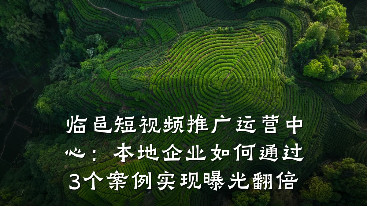 临邑短视频推广运营中心：本地企业如何通过3个案例实现曝光翻倍