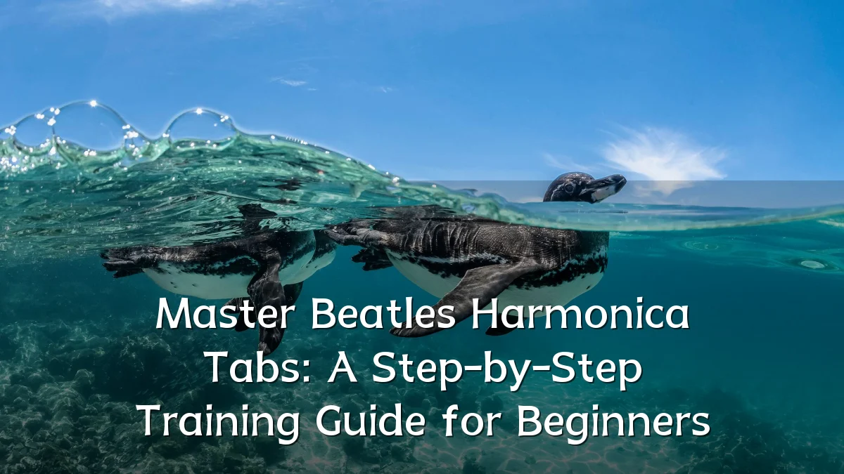 Master Beatles Harmonica Tabs: A Step-by-Step Training Guide for Beginners
