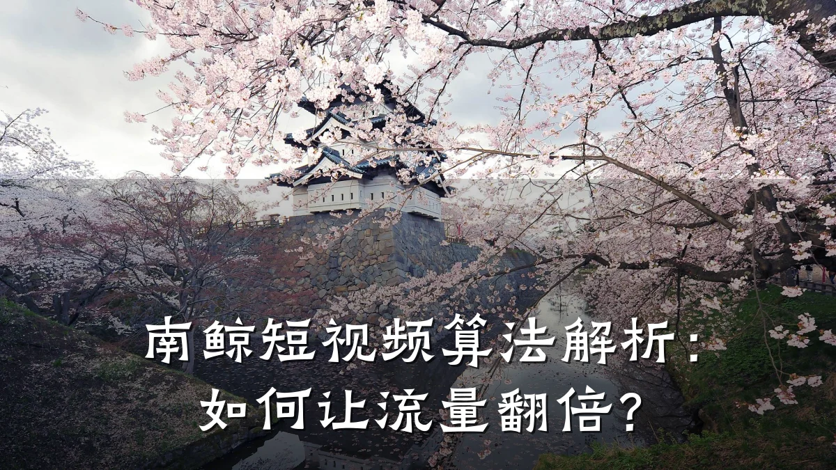 南鲸短视频算法解析：如何让流量翻倍？