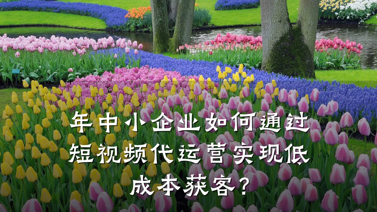 年中小企业如何通过短视频代运营实现低成本获客？