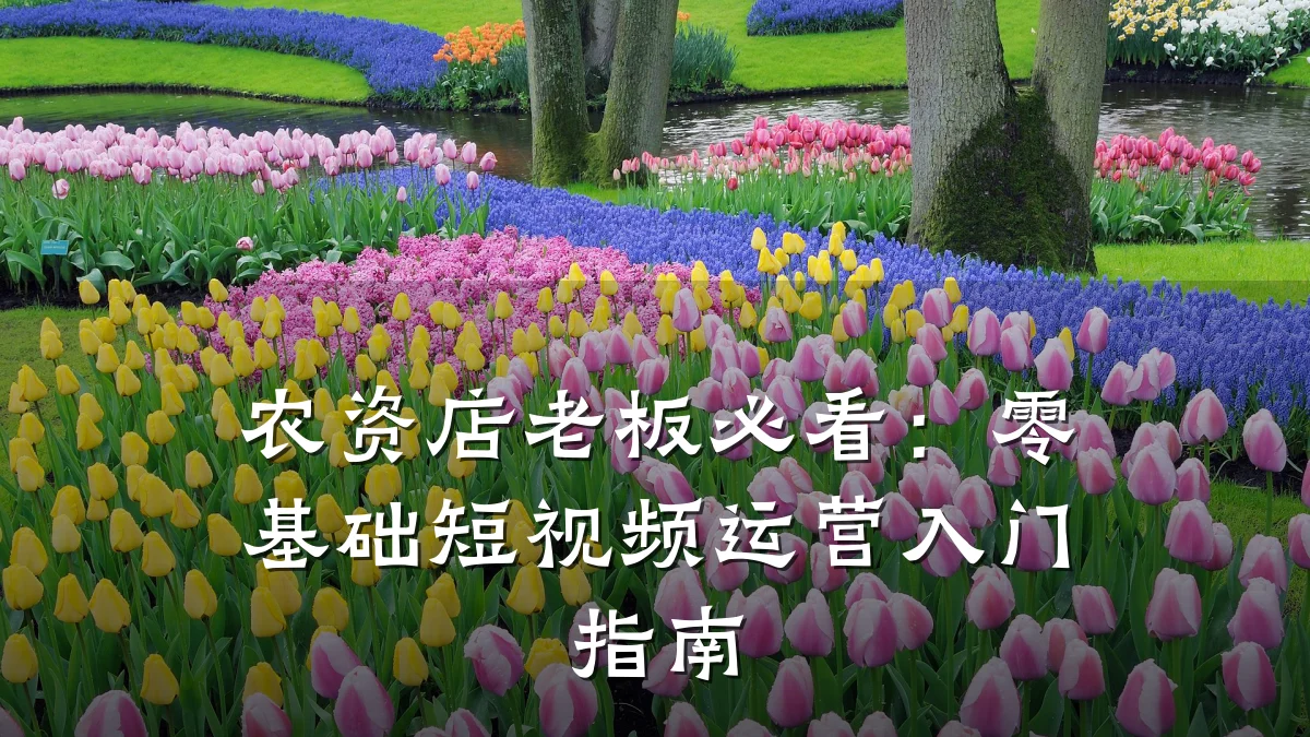 农资店老板必看：零基础短视频运营入门指南