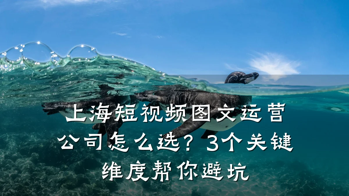 上海短视频图文运营公司怎么选？3个关键维度帮你避坑