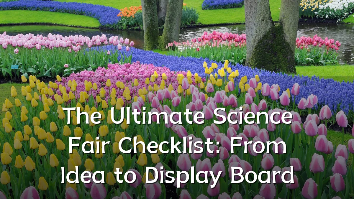 The Ultimate Science Fair Checklist: From Idea to Display Board