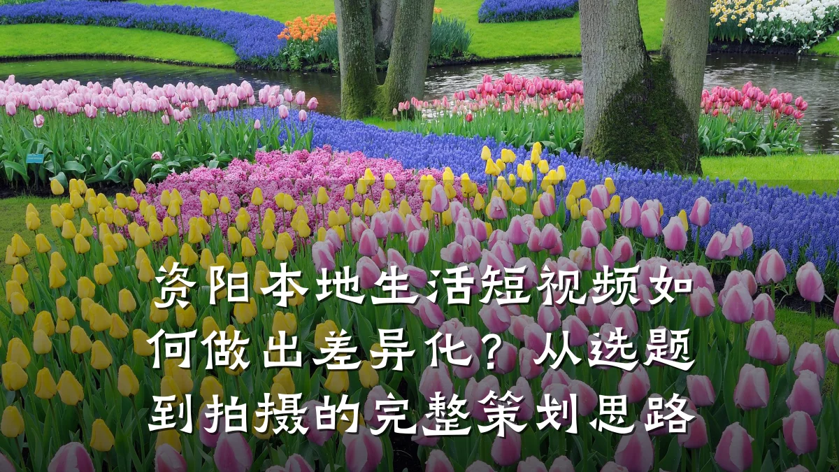 资阳本地生活短视频如何做出差异化？从选题到拍摄的完整策划思路