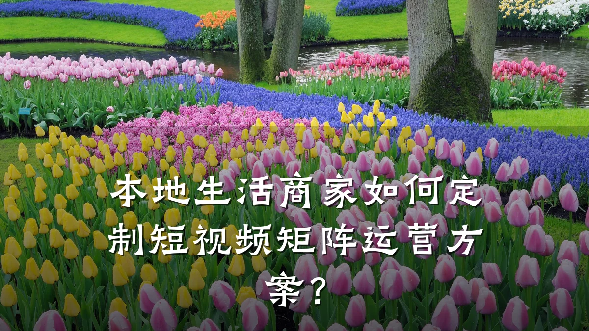 本地生活商家如何定制短视频矩阵运营方案？