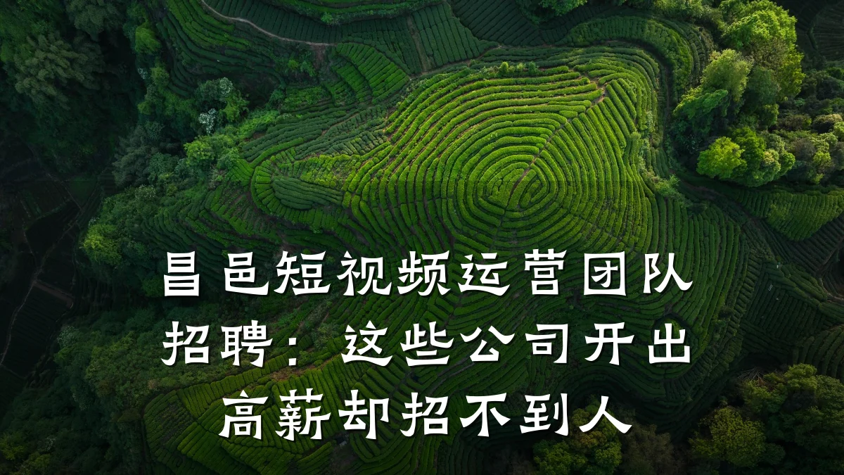 昌邑短视频运营团队招聘：这些公司开出高薪却招不到人