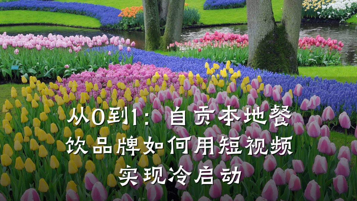从0到1：自贡本地餐饮品牌如何用短视频实现冷启动