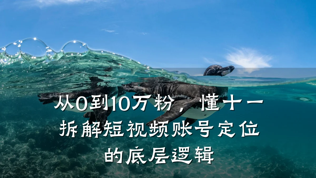从0到10万粉，懂十一拆解短视频账号定位的底层逻辑
