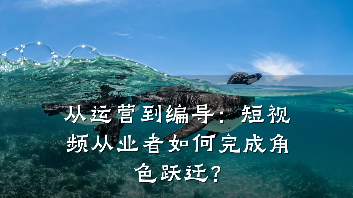 从运营到编导：短视频从业者如何完成角色跃迁？