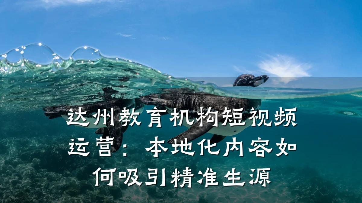 达州教育机构短视频运营：本地化内容如何吸引精准生源