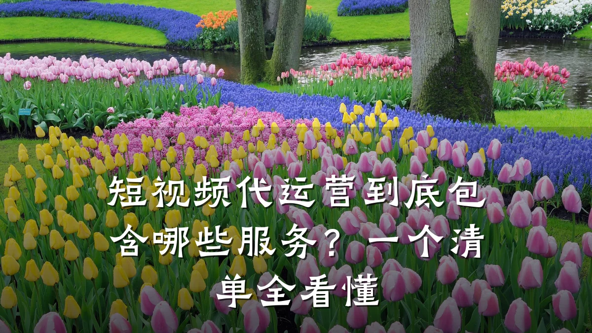 短视频代运营到底包含哪些服务？一个清单全看懂