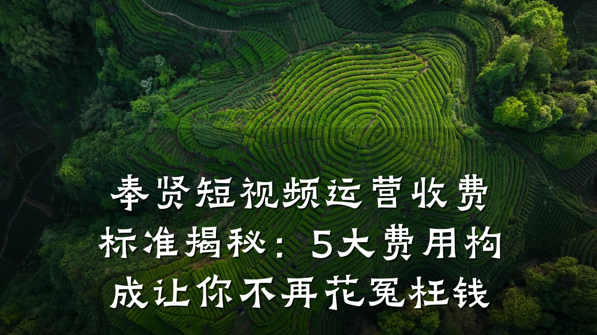 奉贤短视频运营收费标准揭秘：5大费用构成让你不再花冤枉钱