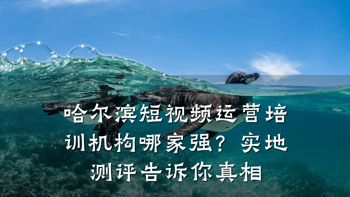 哈尔滨短视频运营培训机构哪家强？实地测评告诉你真相