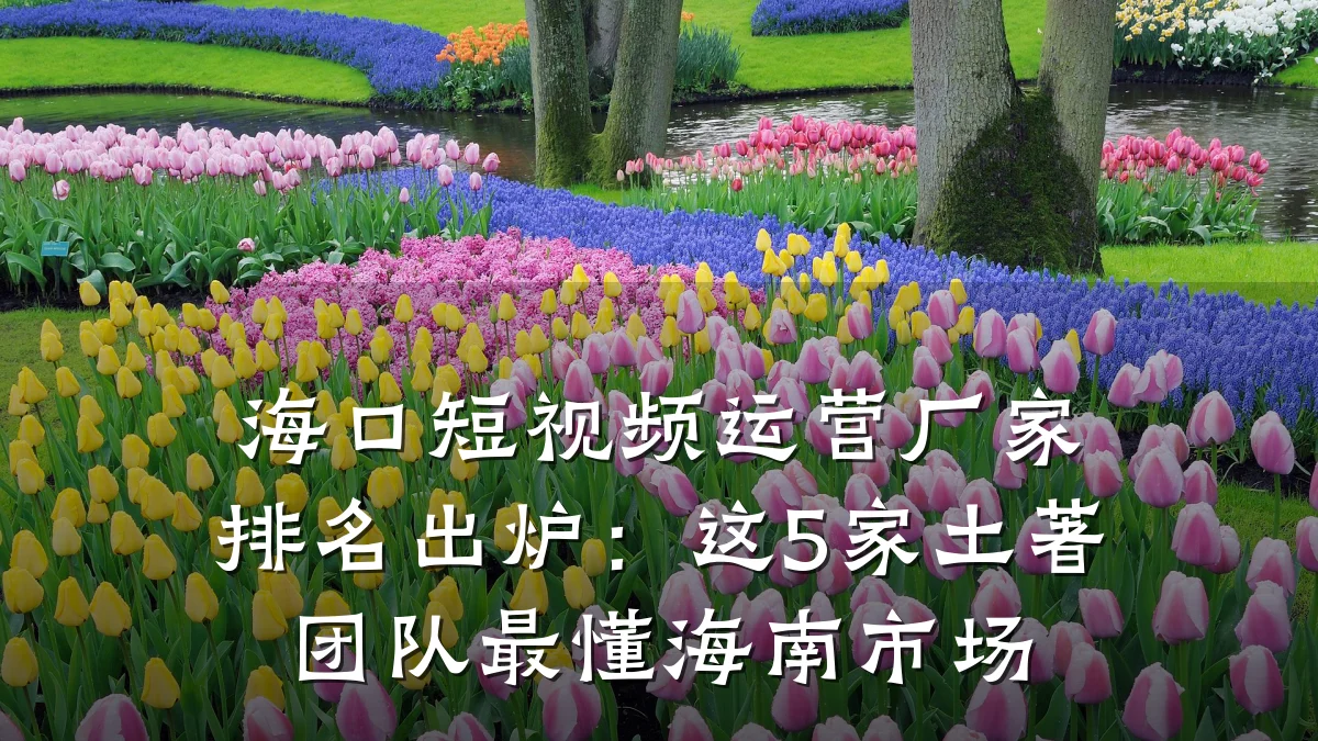 海口短视频运营厂家排名出炉：这5家土著团队最懂海南市场