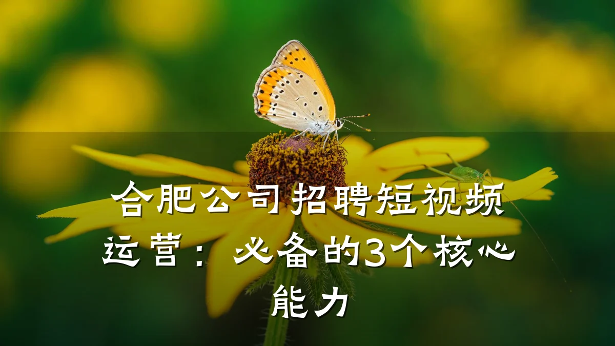 合肥公司招聘短视频运营：必备的3个核心能力