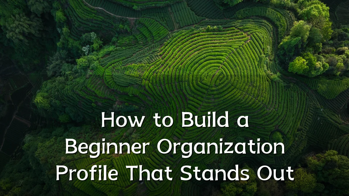 How to Build a Beginner Organization Profile That Stands Out