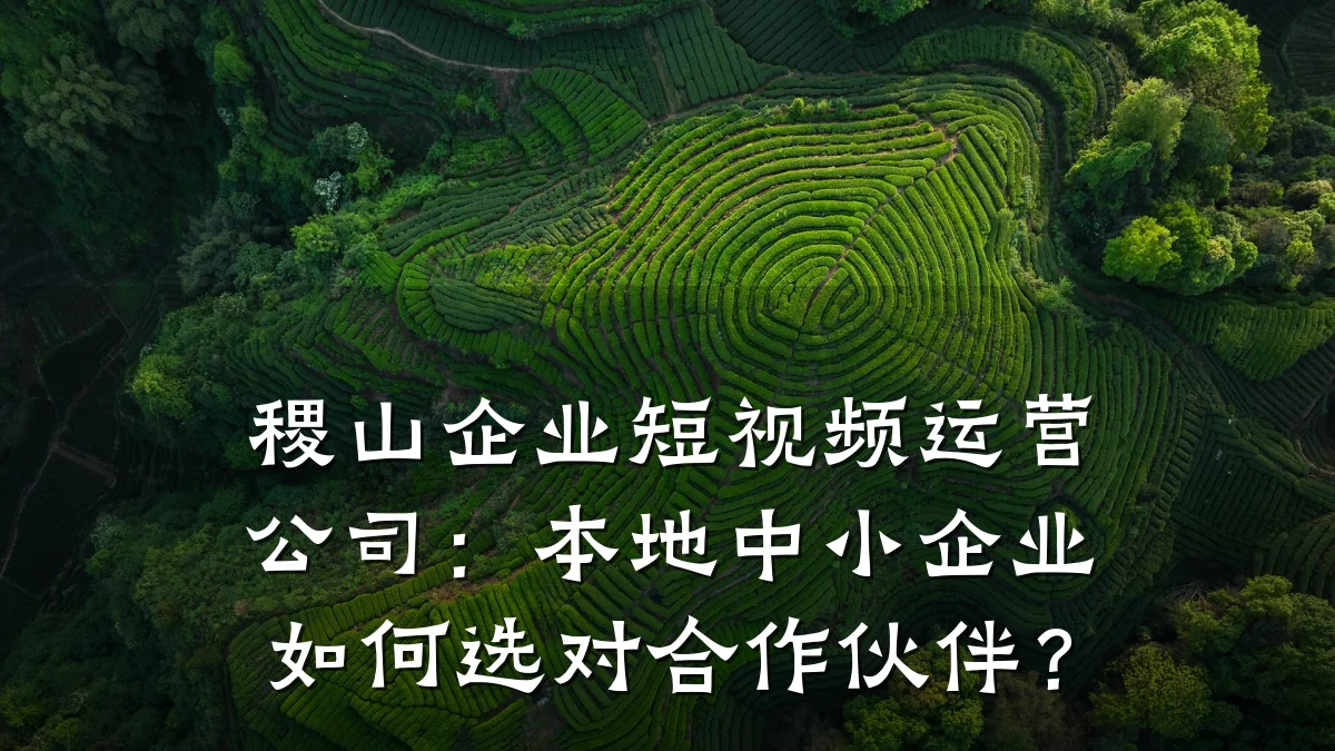稷山企业短视频运营公司：本地中小企业如何选对合作伙伴？