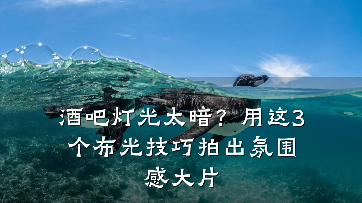 酒吧灯光太暗？用这3个布光技巧拍出氛围感大片