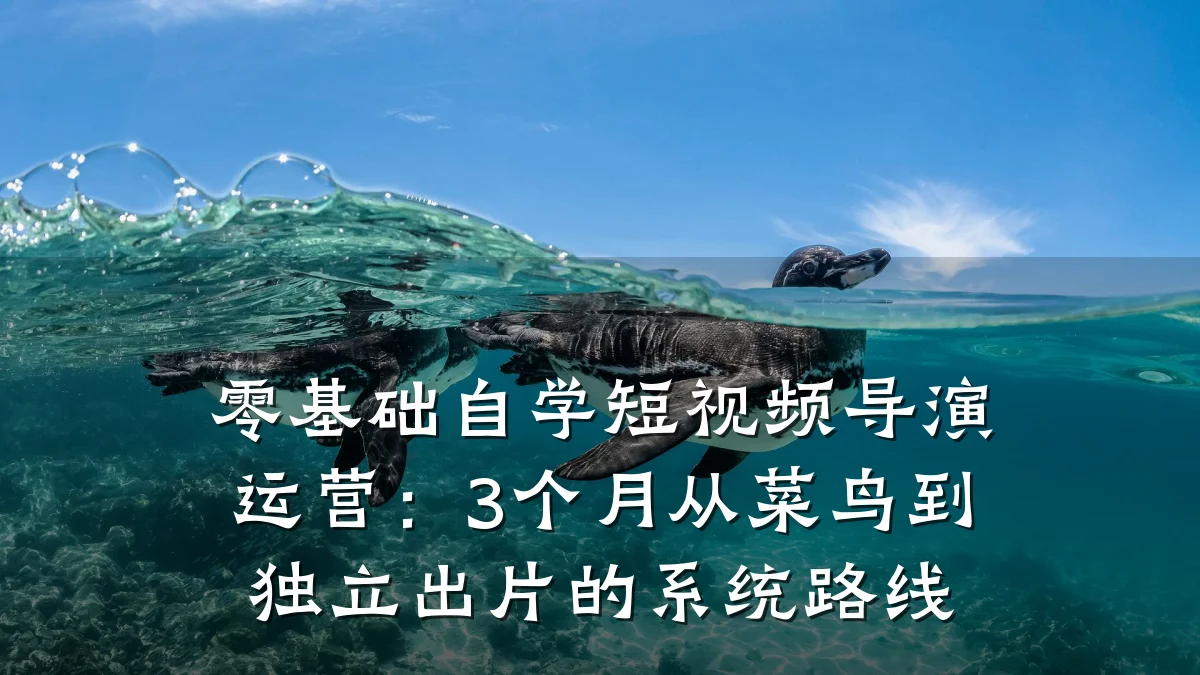 零基础自学短视频导演运营：3个月从菜鸟到独立出片的系统路线