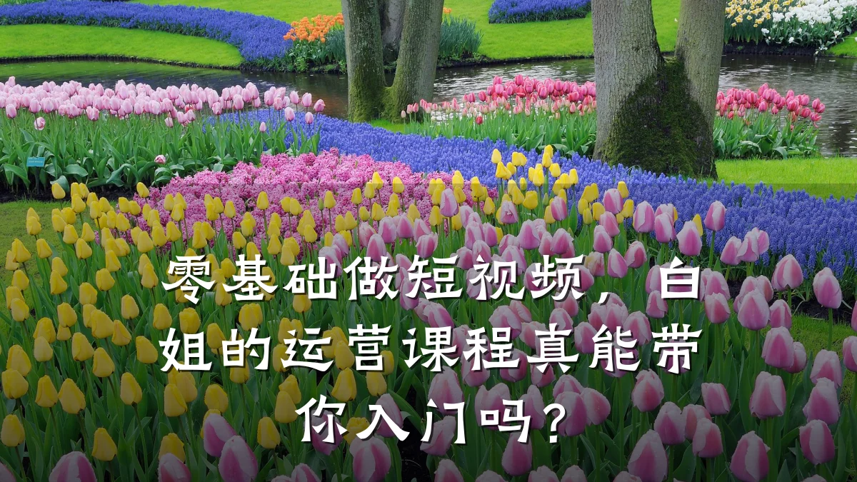 零基础做短视频，白姐的运营课程真能带你入门吗？