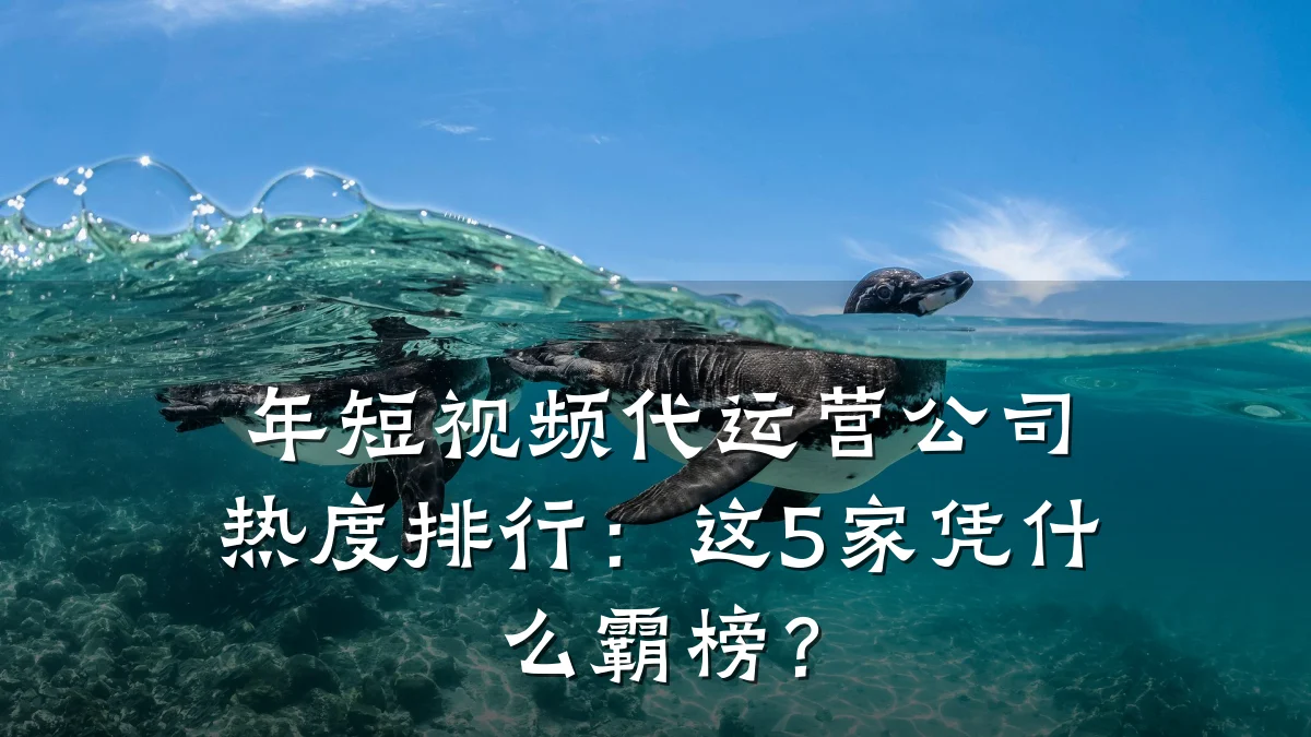 年短视频代运营公司热度排行：这5家凭什么霸榜？
