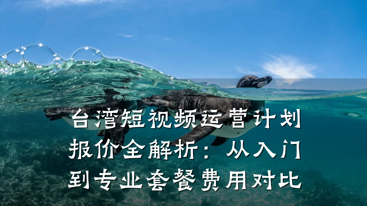 台湾短视频运营计划报价全解析：从入门到专业套餐费用对比