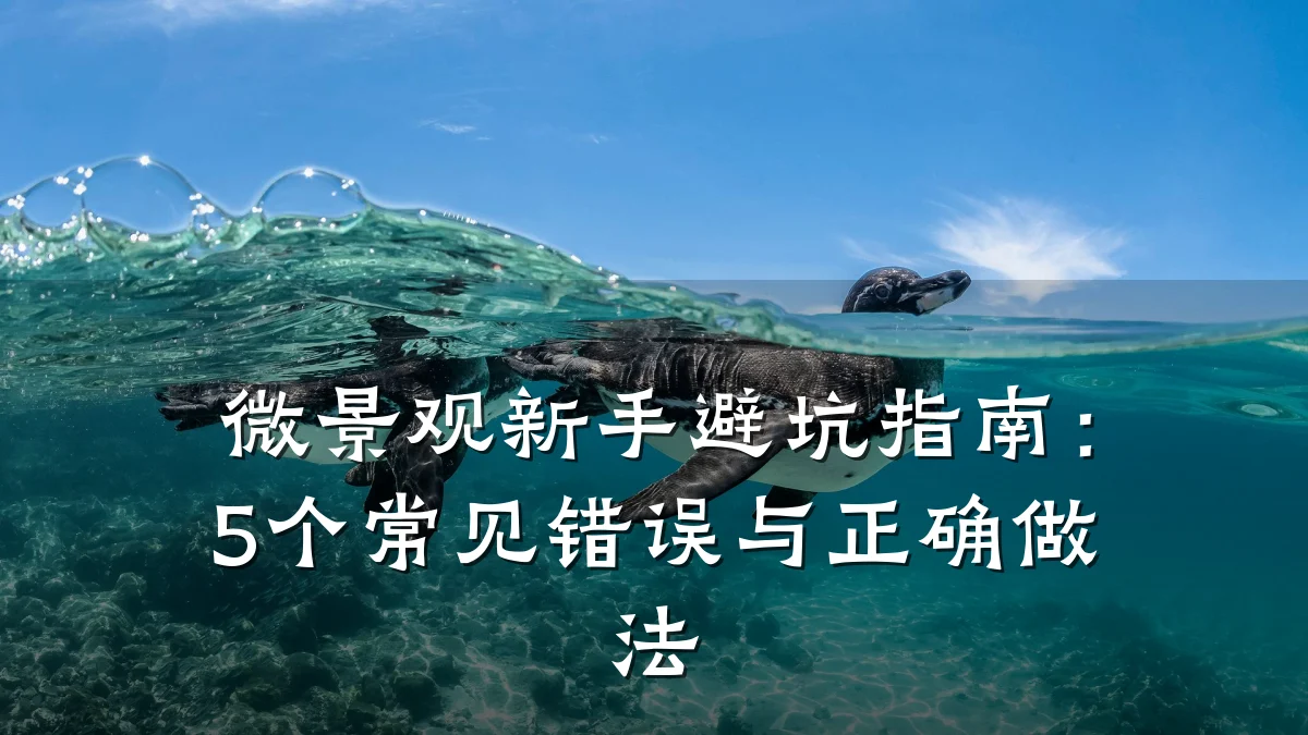 微景观新手避坑指南:5个常见错误与正确做法