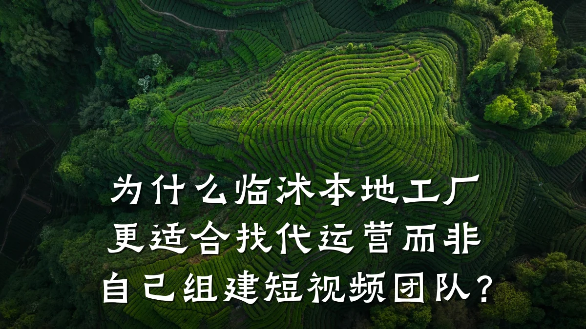 为什么临沭本地工厂更适合找代运营而非自己组建短视频团队？