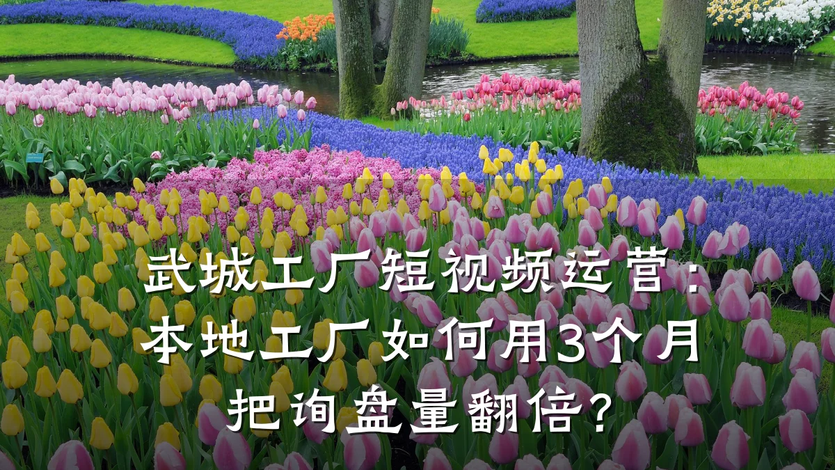 武城工厂短视频运营：本地工厂如何用3个月把询盘量翻倍？