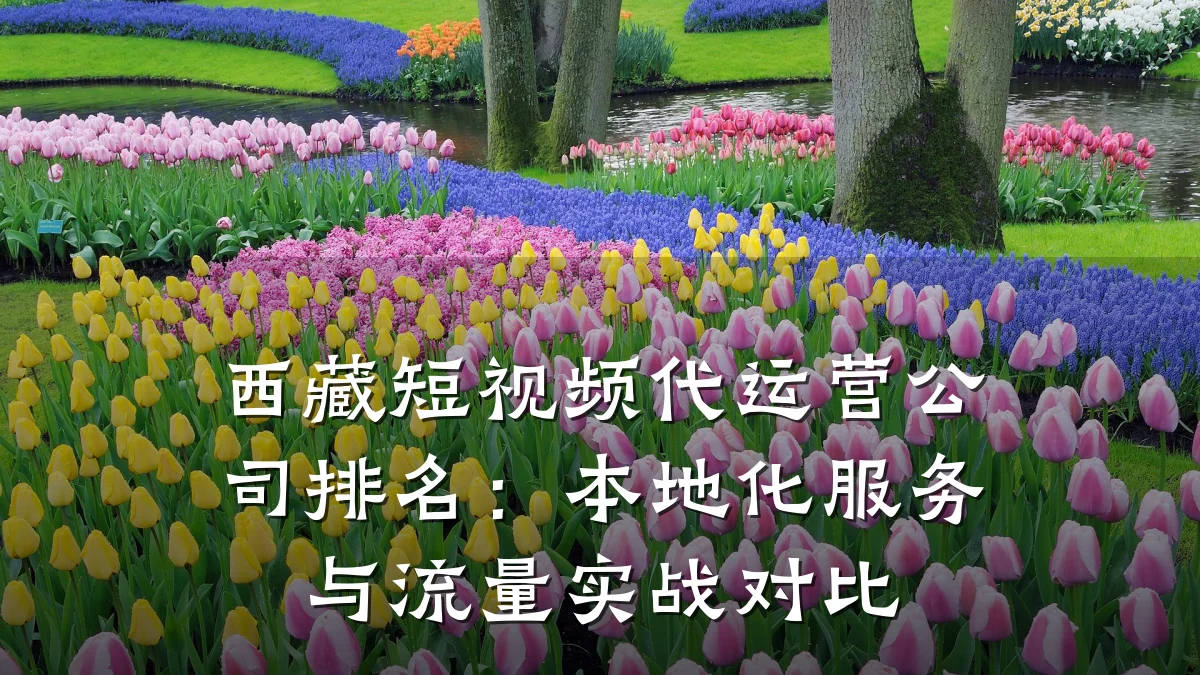 西藏短视频代运营公司排名：本地化服务与流量实战对比