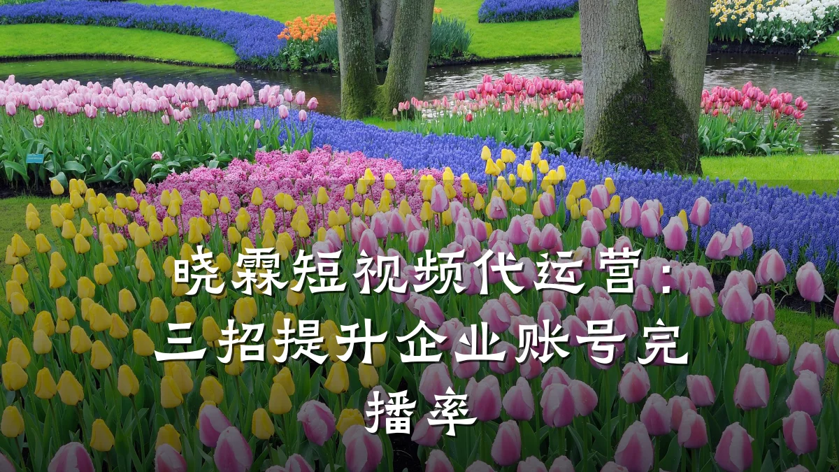 晓霖短视频代运营：三招提升企业账号完播率