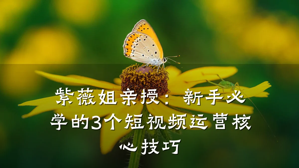 紫薇姐亲授：新手必学的3个短视频运营核心技巧