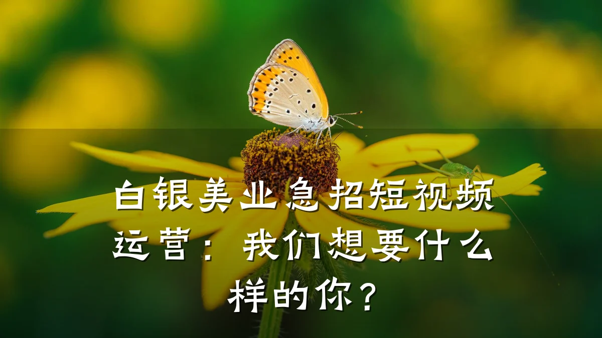 白银美业急招短视频运营：我们想要什么样的你？