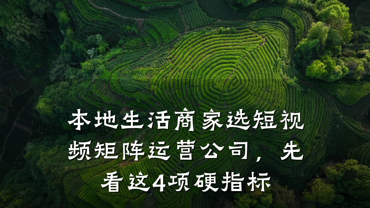 本地生活商家选短视频矩阵运营公司，先看这4项硬指标